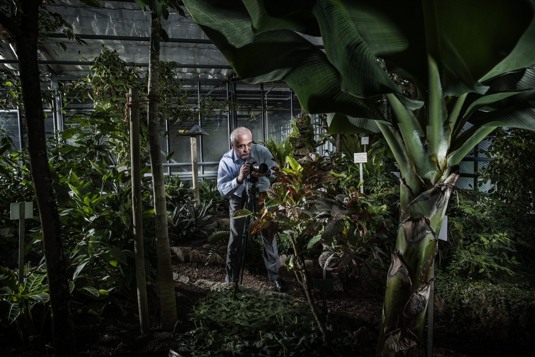 Franz Stempfle - Geschäftsführer der DHU - Deutsche Homöopathie-Union in einem seiner Gewächshäuser - Sein Hobby: Pflanzenfotografie